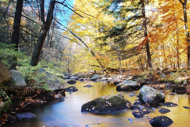 Autunno yoga